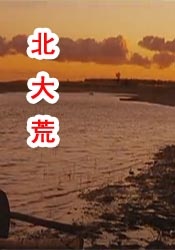 日韩一级影片