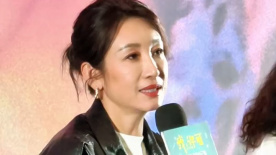 第一视角网调 vk